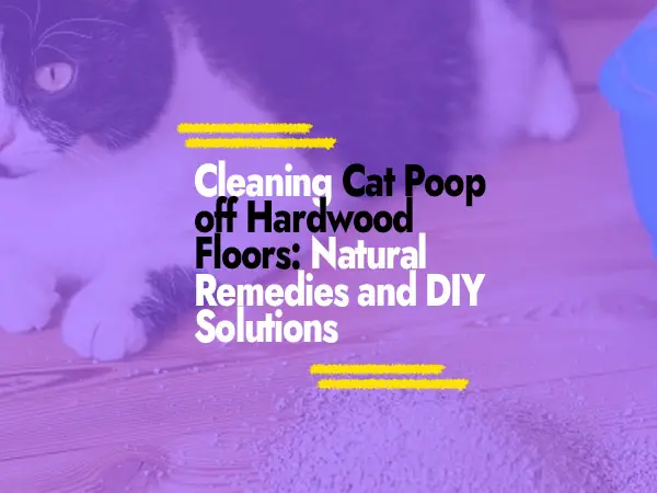 Cleaning Cat Poop off Hardwood Floors Natural Remedies and DIY Solutions