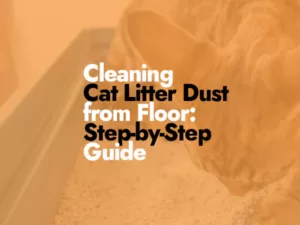 How to Clean Cat Litter Dust from Floor