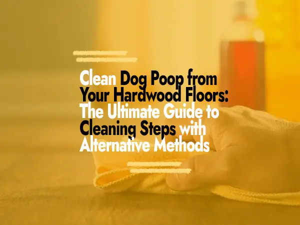 How to Clean Dog Poop from Hardwood Floors