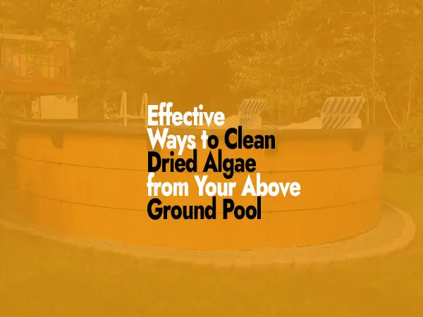 How to Clean Dried Algae from Above-Ground Pool