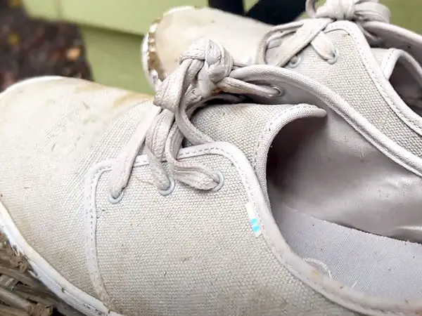 How to Clean Toms Canvas Shoes