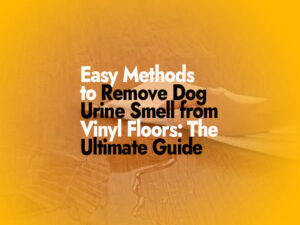 How to Remove Dog Urine Smell from Vinyl Floors