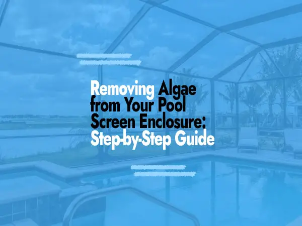 How to clean algae from pool screen enclosure