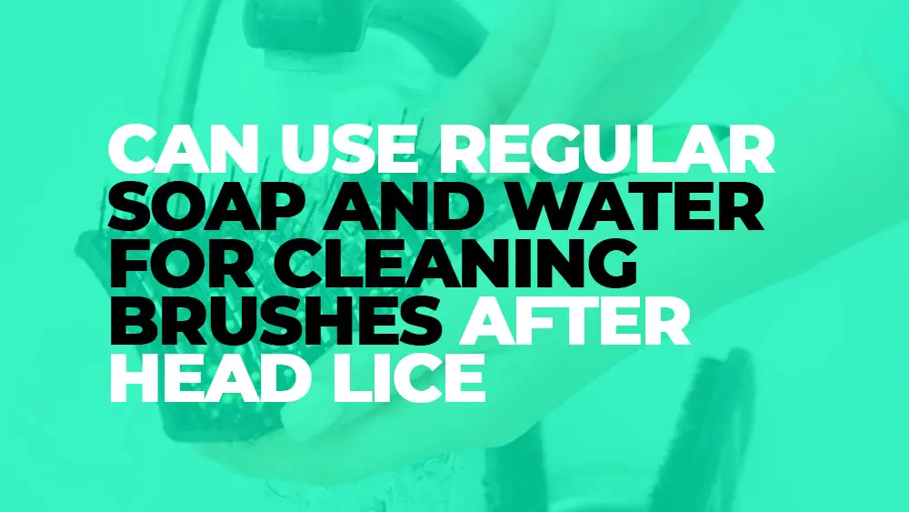Benefits of Regular Soap and Water for Brush Cleaning