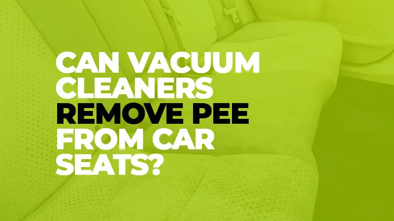 Can Vacuum Cleaners Remove Pee From Car Seats