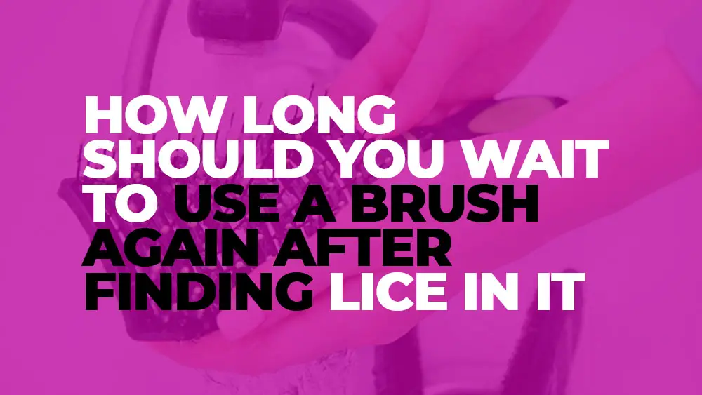 How long should wait to use a brush again after finding lice in it