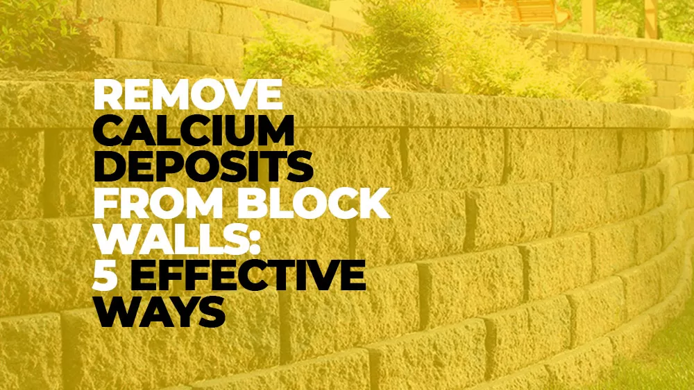 Removing Calcium Deposits from Block Walls