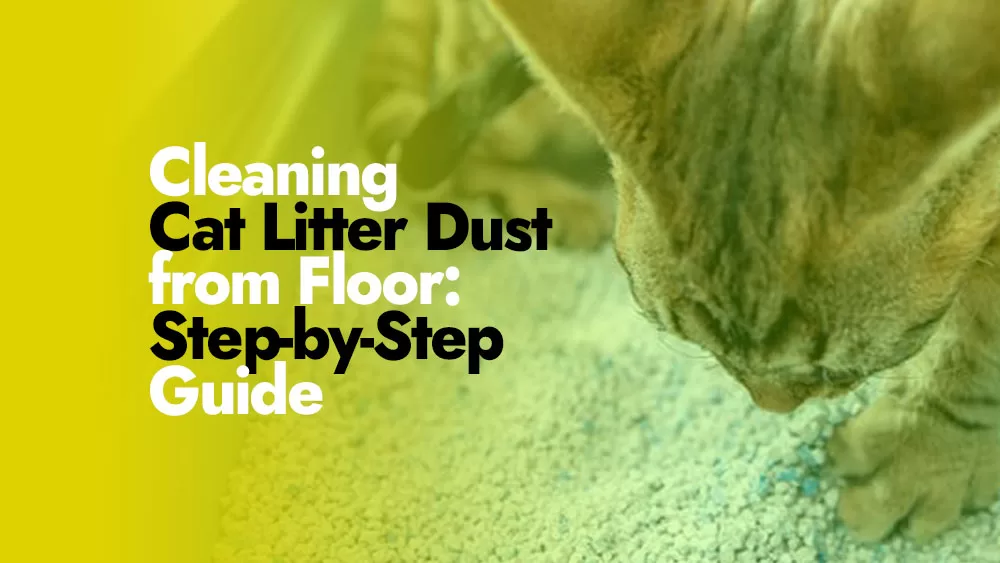 Cleaning Cat Litter Dust from Floor