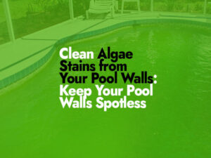 How to Clean Algae Stains from Your Pool Walls