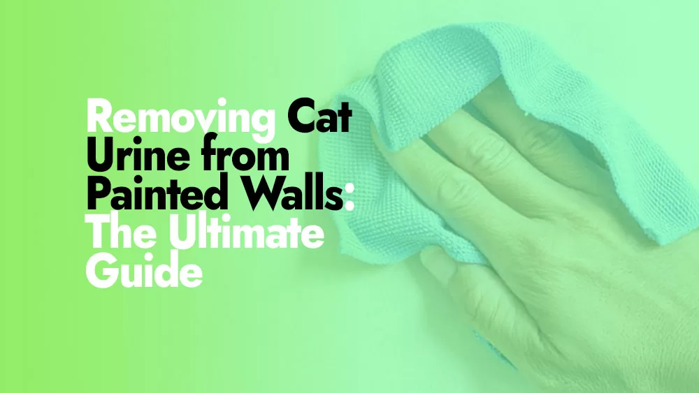 Removing Cat Urine from Painted Walls