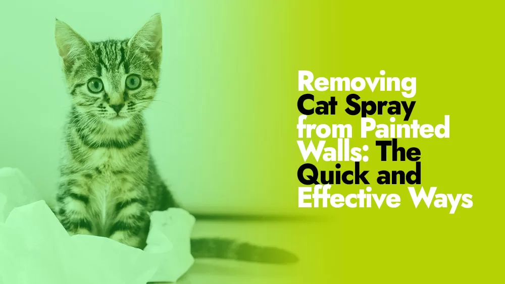 Steps to remove Cat Spray from Painted Walls