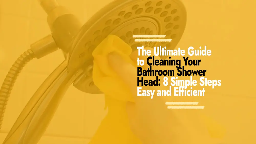Cleaning Bathroom Shower Head