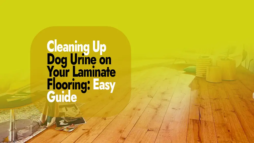 Cleaning Up Dog Urine on Laminate Flooring