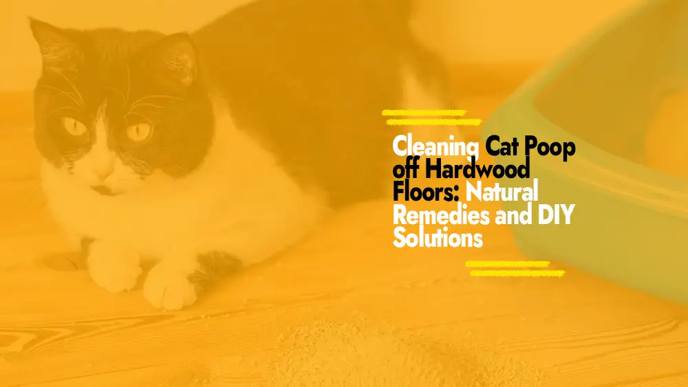 How to Clean Cat Poop off Hardwood Floors with Natural Remedies