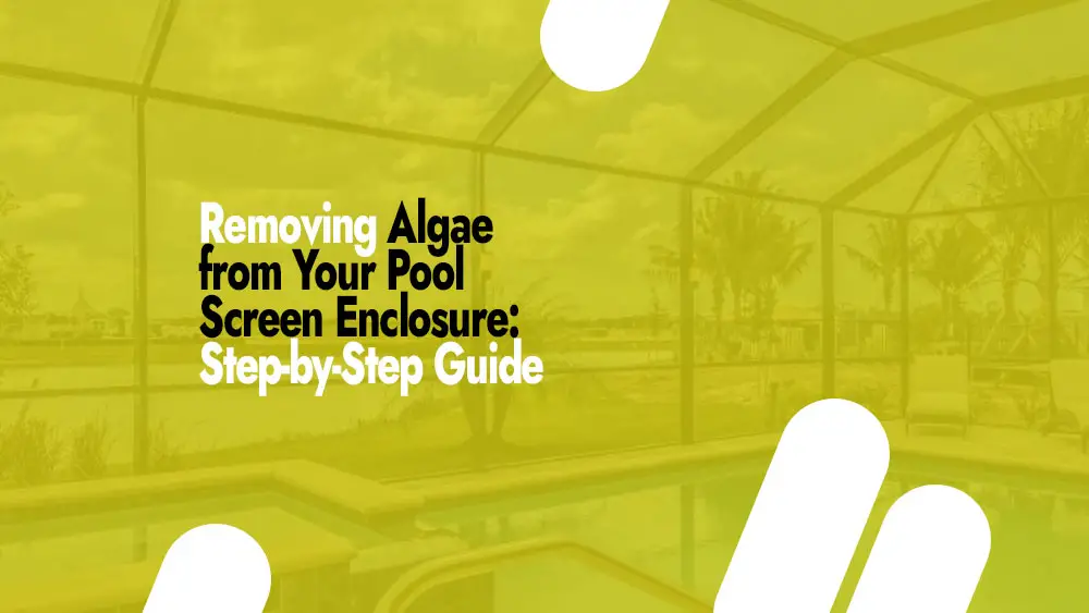 Clean algae from pool screen enclosure
