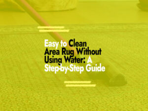 How to Clean Area Rug Without Using Water