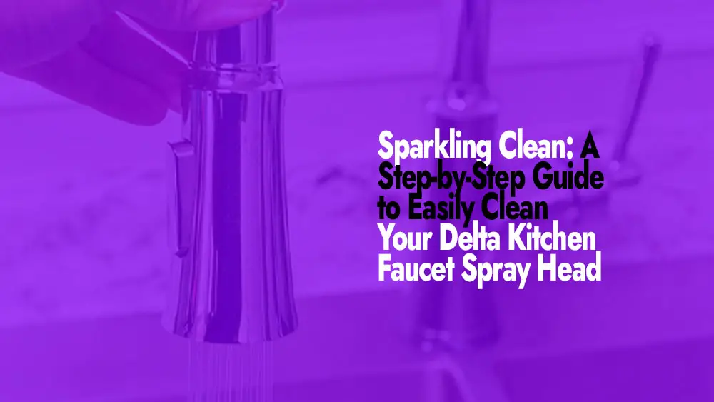 Clean Delta Kitchen Faucet Spray Head