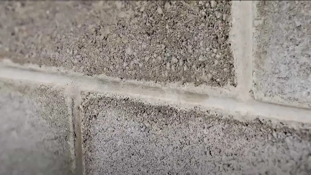 How to Clean Mold Off Cinder Block Walls
