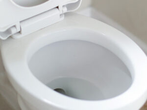 How to Clean Toilet Siphon jet Hole