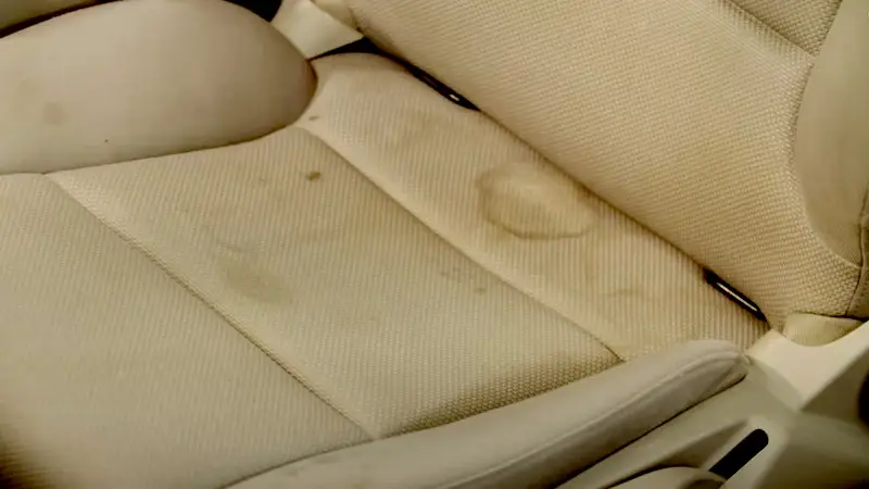 How to get human urine out of car seat