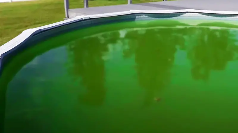 How to get rid of green in salt water pool