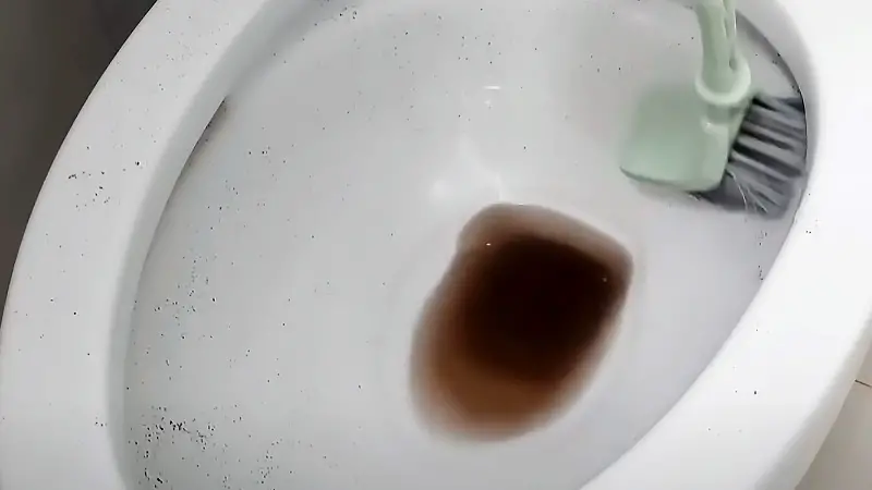 How to remove stubborn stains from bottom of toilet bowl