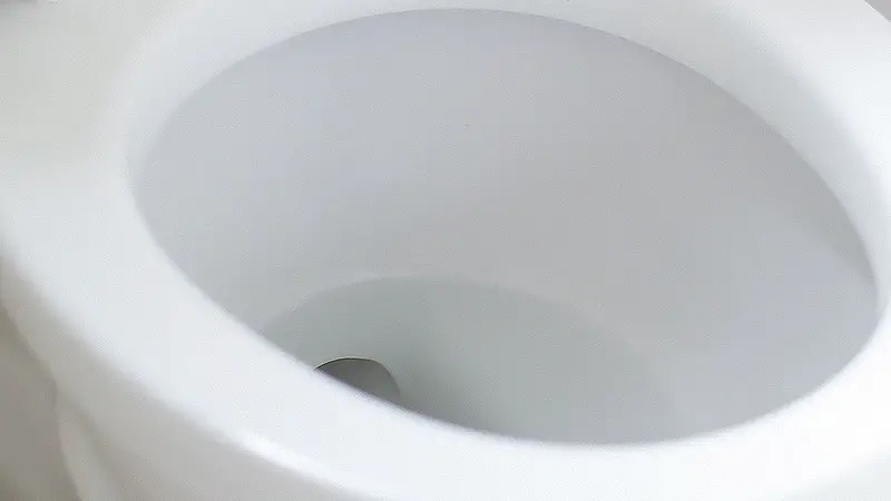 how to clean toilet siphon jet