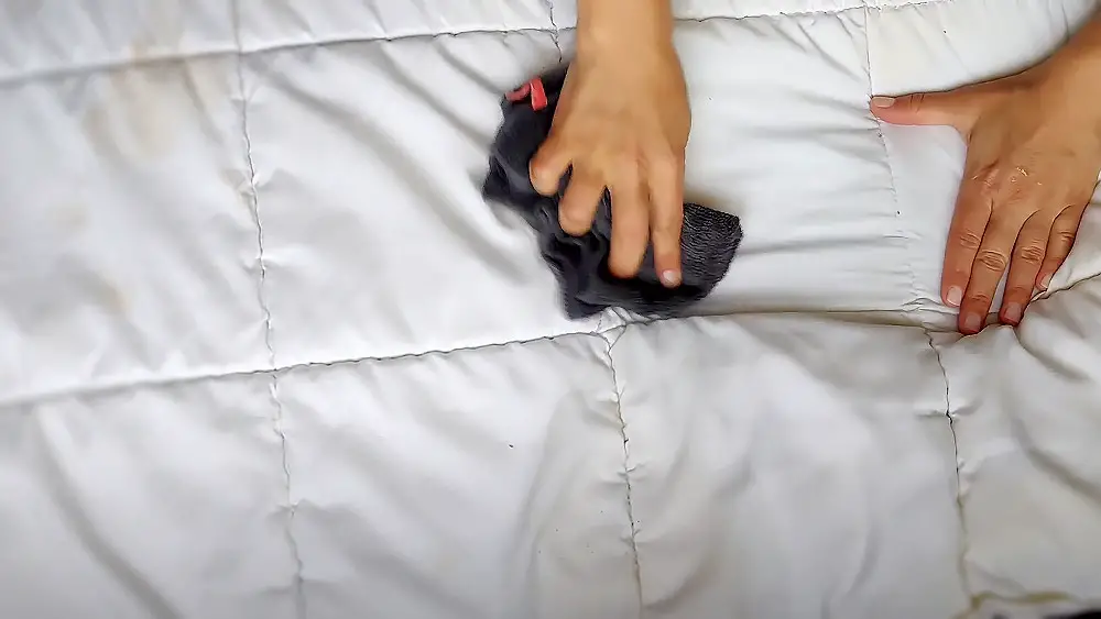how to get squirt stains out of mattress