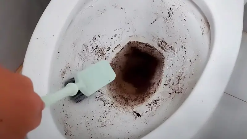 How to remove stubborn black stains from toilet bowl