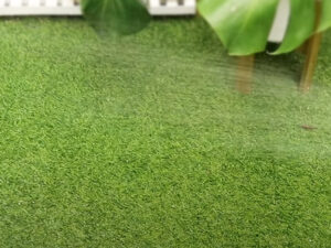 How to Clean Fake Grass from Dog Urine